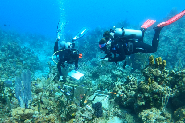 Screen Shot 2021-07-06 at 3.32.55 PM (1) Screen Shot 2021-07-06 at 3.32.55 PM (1)