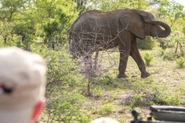Southafrica Southafrica