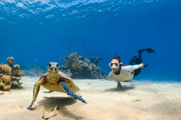 neom-Oj8w6hWC0dU-unsplash (1) neom-Oj8w6hWC0dU-unsplash (1)