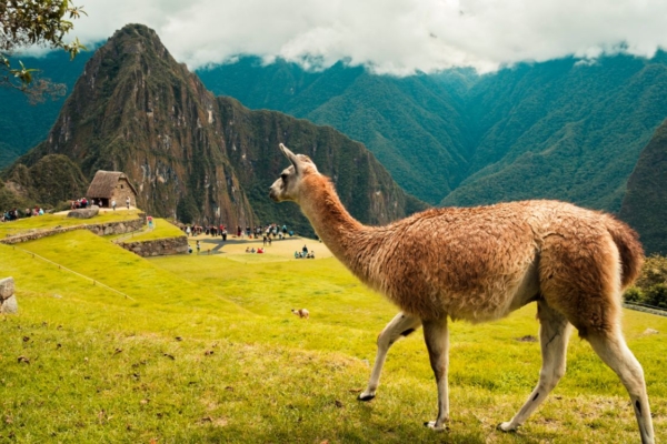 willian-justen-de-vasconcellos-ulUnRNuC_ok-unsplash (1) willian-justen-de-vasconcellos-ulUnRNuC_ok-unsplash (1)