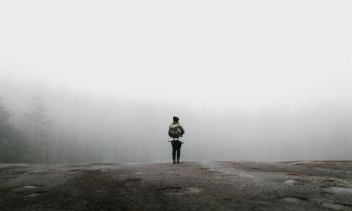 a woman standing on a foggy park while facing the trees