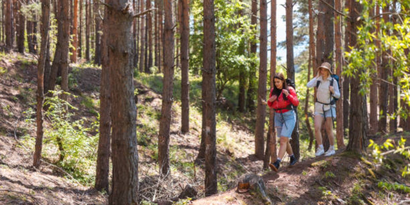 Two young female friends hiking outdoors.