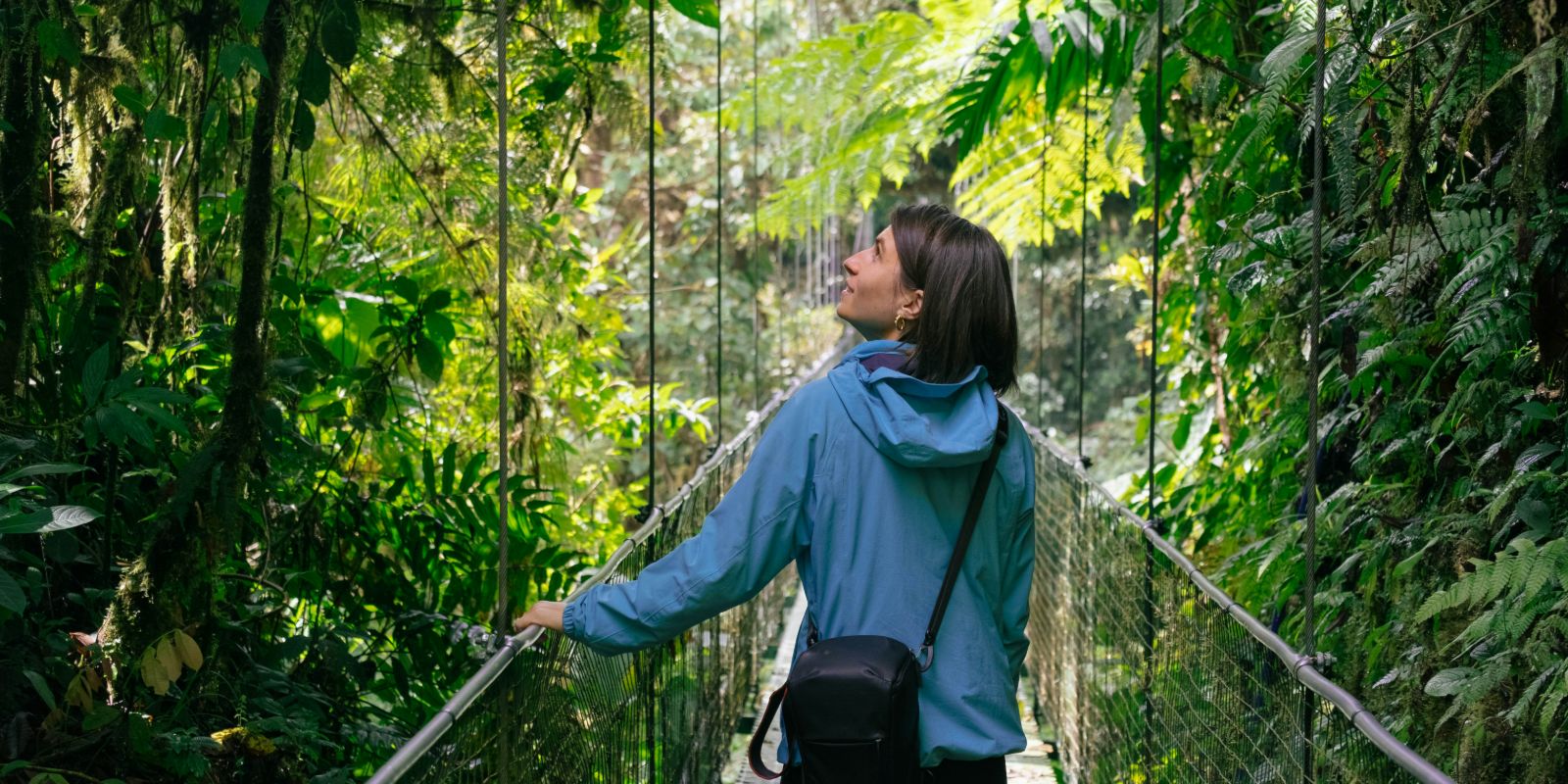 Rainforest adventure during a gap year in Latin America.
